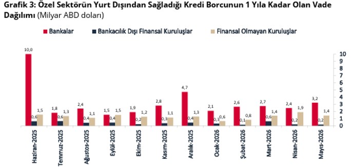 Son dakika: Özel sektörün yurt dışı kredi borcu mayısta arttı! - Resim : 3