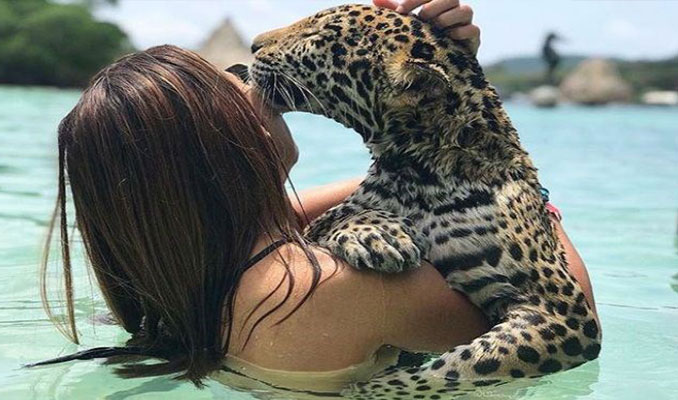  Jaguarlarla yüzüp, fotoğraf çektirmek 40 euro 
