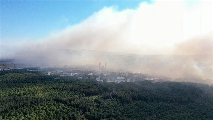 Bursa'da anız yangını kampüsteki ormana sıçradı