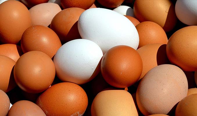 Yumurta fiyatları dört ayda yüzde 100 zamlandı