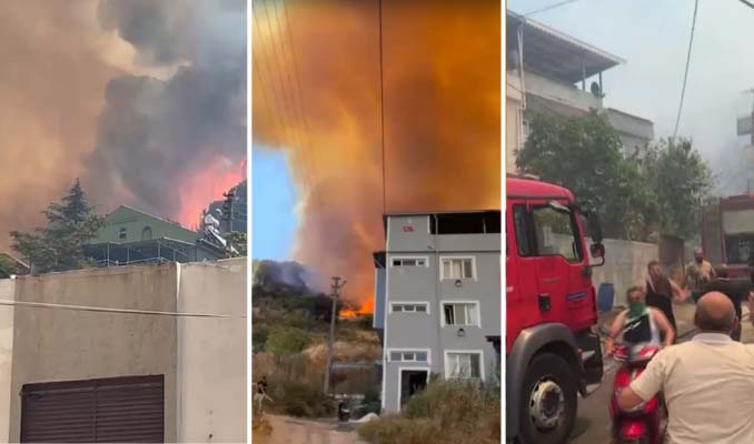 Bursa'da orman yangını dehşeti