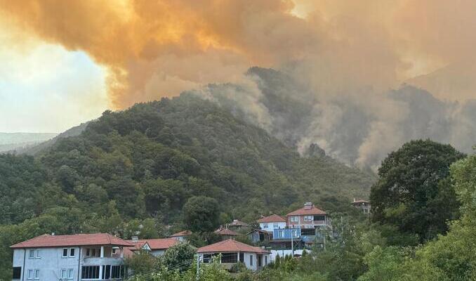 Sakarya'da bir orman yangını daha!