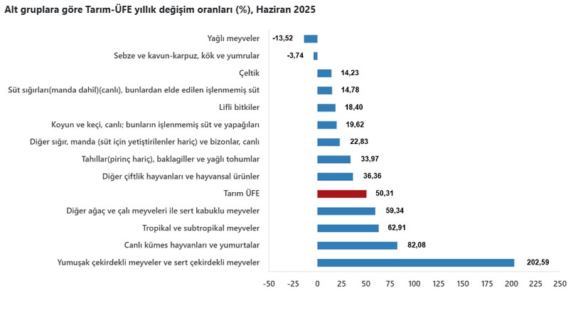 Aylık artışta rekor! Çiftçinin haziran ayı enflasyonu belli oldu! - Resim : 3