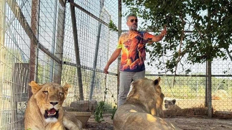 Diyarbakırlı aslan bakıcısı 14’üyle birlikte yaşıyor ‘Her şey arkadaşımın hediyesiyle başladı’
