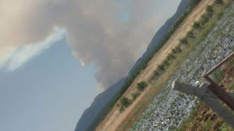 Son dakika... Edirnede korkutan yangın Kara yolu çift yönlü kapatıldı