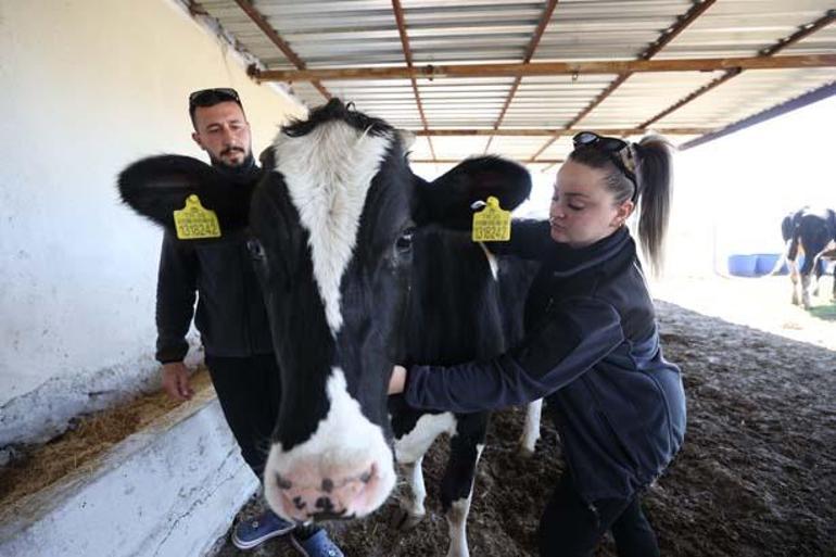 Belçikadaki yaşamından vazgeçip, geri dönüş yaptı: Oradaki hayatı gördüm