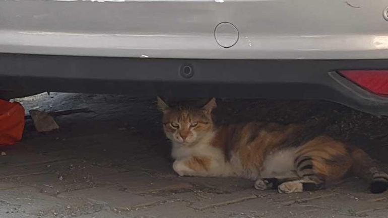 Kâğıthane’de faciadan dönüldü 3 katlı binanın balkonu çöktü