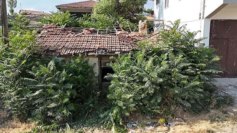Bir şehir bunu konuşuyor: Keloğlan’ın memleketi Çankırı mı Tuz Mağarası’ndaki eşek gündem oldu