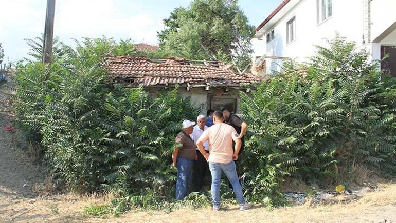 Bir şehir bunu konuşuyor: Keloğlan’ın memleketi Çankırı mı Tuz Mağarası’ndaki eşek gündem oldu