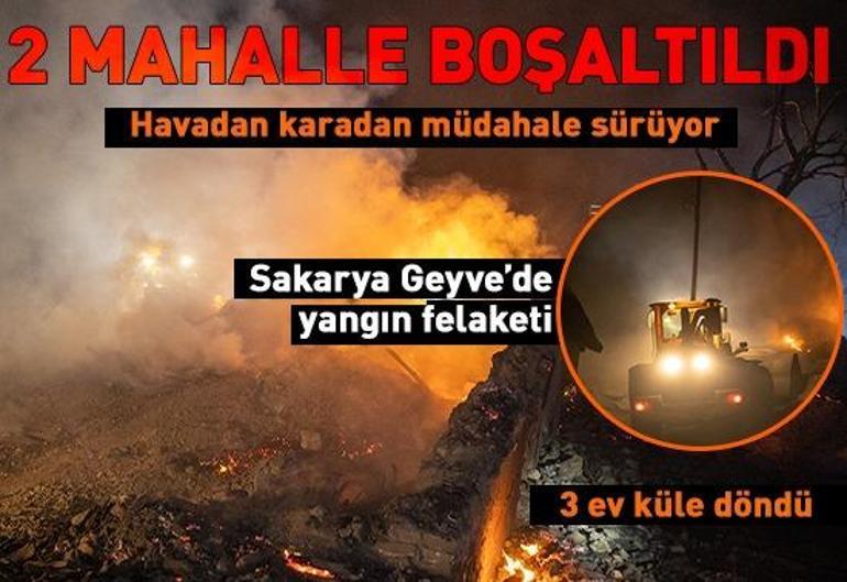 Sakaryada orman yangınında 3 ev kül oldu