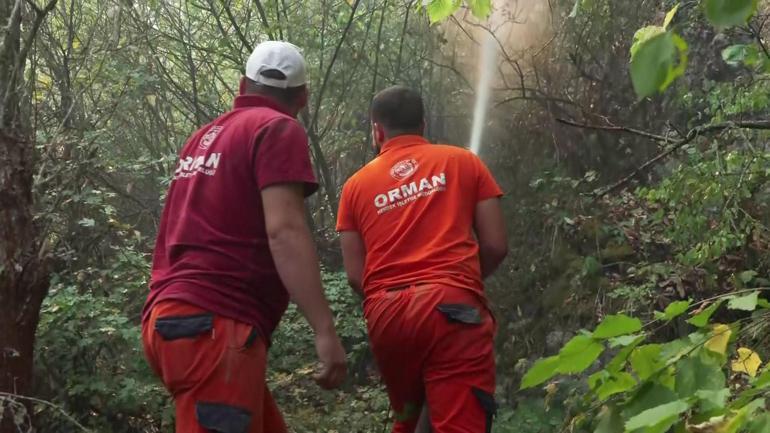 Sakaryada orman yangını alarmı: Alevler köylere yaklaşıyor