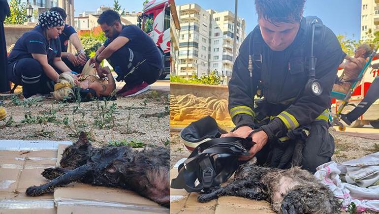 Kedisi içerdeyken evi yanan Ukraynalı kadın polisin kucağına bayıldı