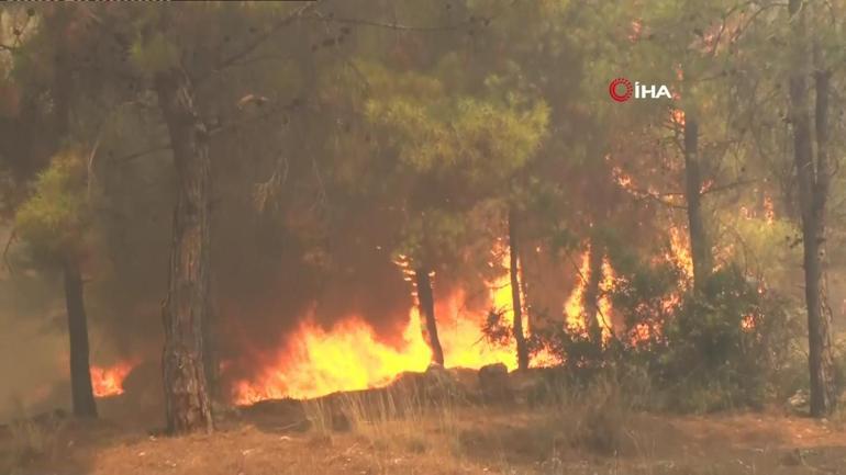 SON DAKİKA... Antalyada 3 ayrı orman yangını