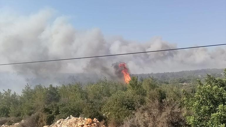 Mersinde orman yangını: Havadan karadan müdahale sürüyor