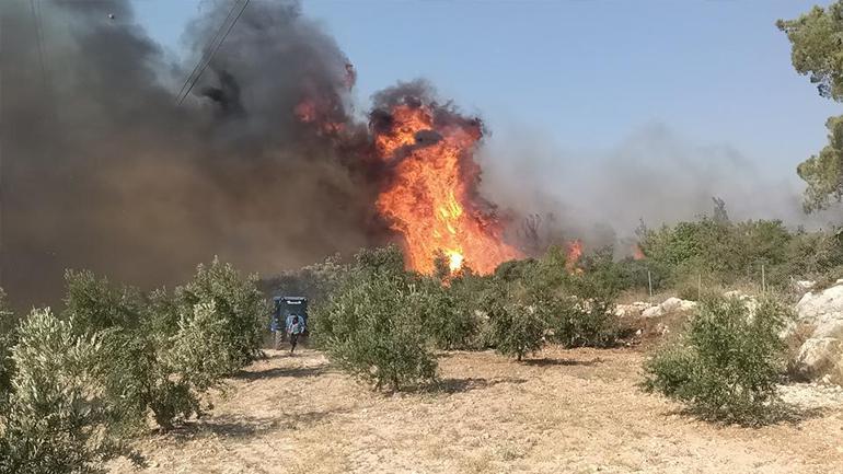 Mersinde orman yangını: Havadan karadan müdahale sürüyor