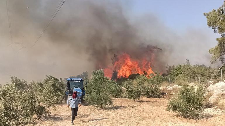 Mersinde orman yangını: Havadan karadan müdahale sürüyor
