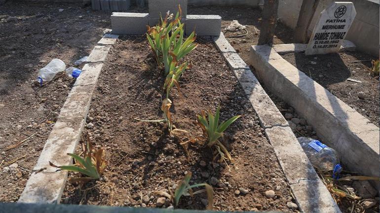 Türkiyeyi sarsan Ayşe Tokyaz cinayetin kan donduran yeni detay: Kan izleri raporda yok