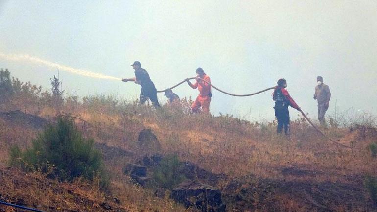 Yangın bölgesinde şüpheli hareketleri dikkat çeken şahıs gözaltına alındı