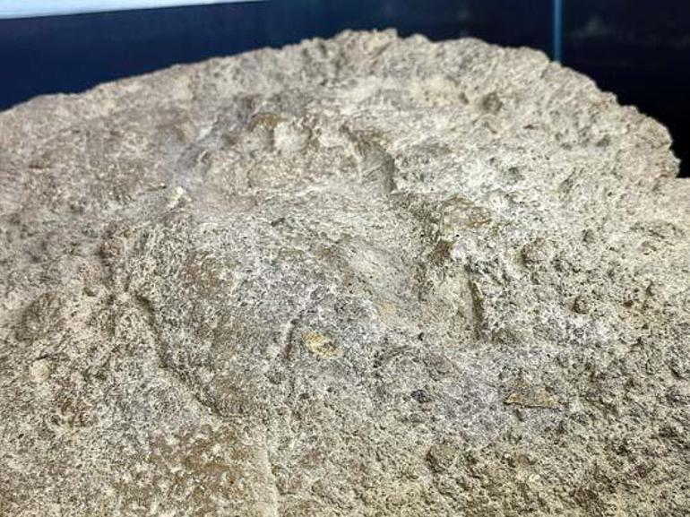 İlk kez teşhir edildi, heyecan yarattı: Sadece bir kerpiç parçası değil