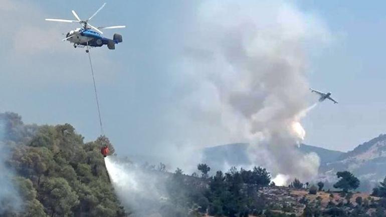 Orman yangınlarına götüren süreç Çamdan başkası yaşamaz: Uçak gelip gider, şerit açın