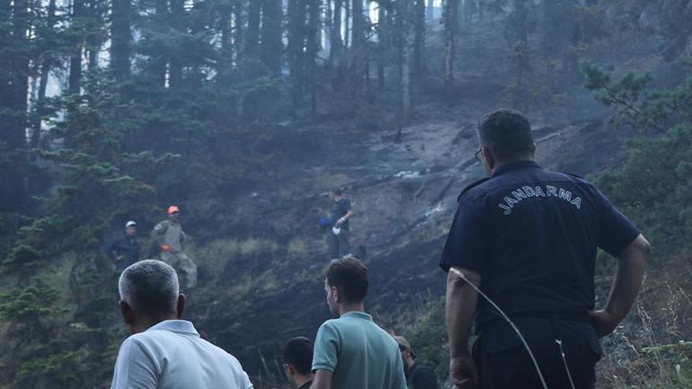 Hukukçulardan orman yangını cezaları için çağrı: Cezalar ve infaz süreleri artırılmalı
