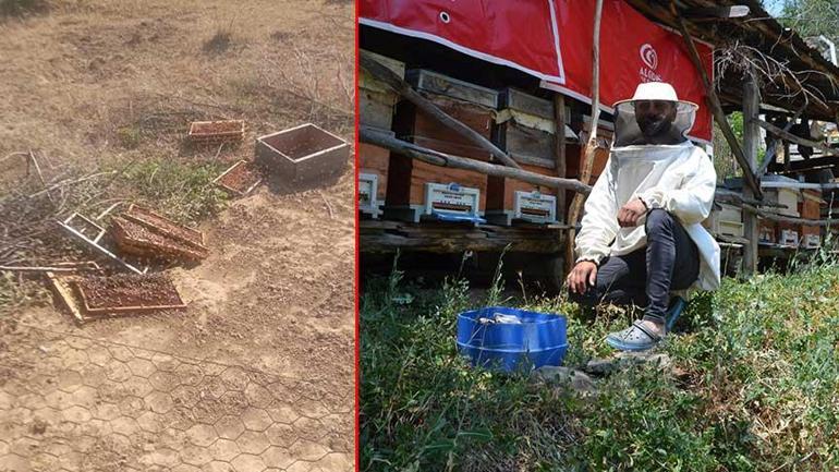 Fotokapana takılan görüntü şoke etti Tam 2 yıldır nöbet tutuyorlar