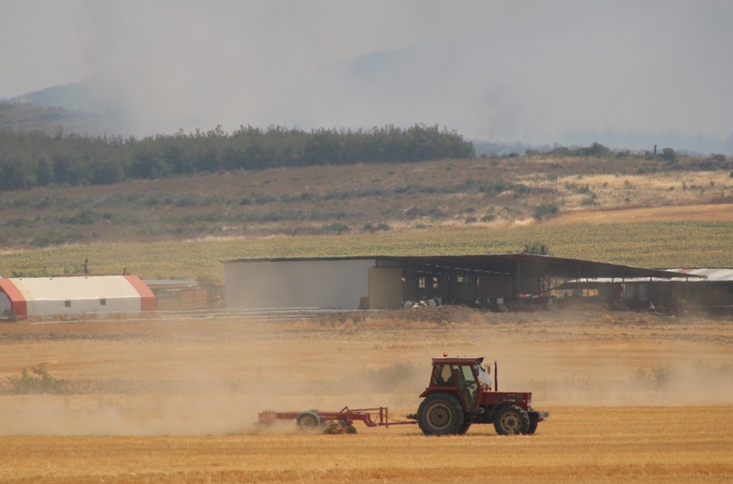 Tekirdağ Şarköy'de başlayıp Çanakkale'ye ulaşan yangın yeniden alevlendi! - Resim : 3