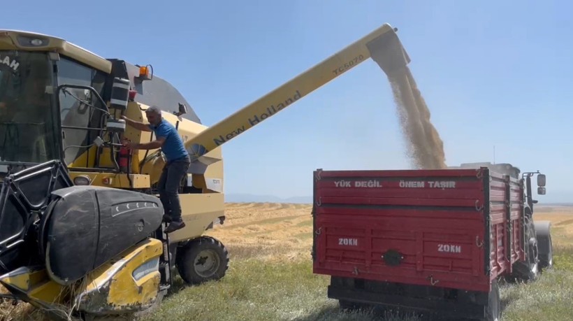 Ata tohumu arpa ile bereket fışkırdı: Çiftçinin yüzü güldü - Resim : 3