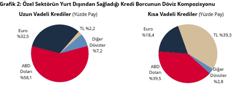 Son dakika: Özel sektörün yurt dışı kredi borcu mayısta arttı! - Resim : 2