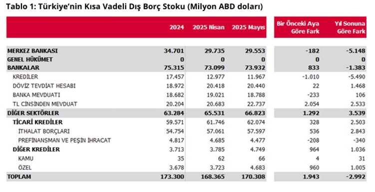 Mayıs ayında Merkez Bankası’nın dış borcu azaldı, bankalarınki yükseldi - Resim : 2