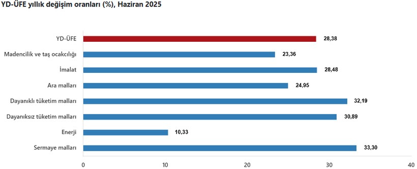 Son dakika: TÜİK açıkladı! Haziran ayı yurt dışı üretici fiyat endeksi verileri belli oldu - Resim : 2