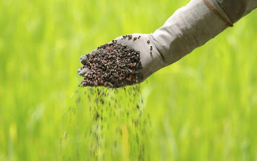 Çin, gübre ihracatını daha da kısıtlıyor