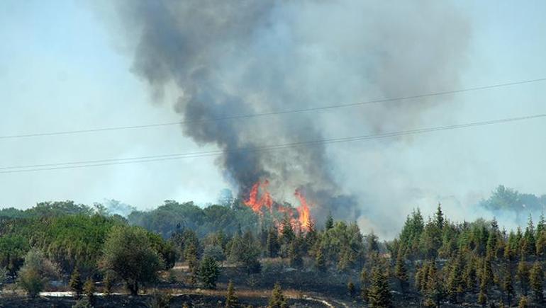 Kırklareli’nde ağaçlık alanda çıkan yangın söndürüldü Avrupa Otoyolu trafiğe açıldı