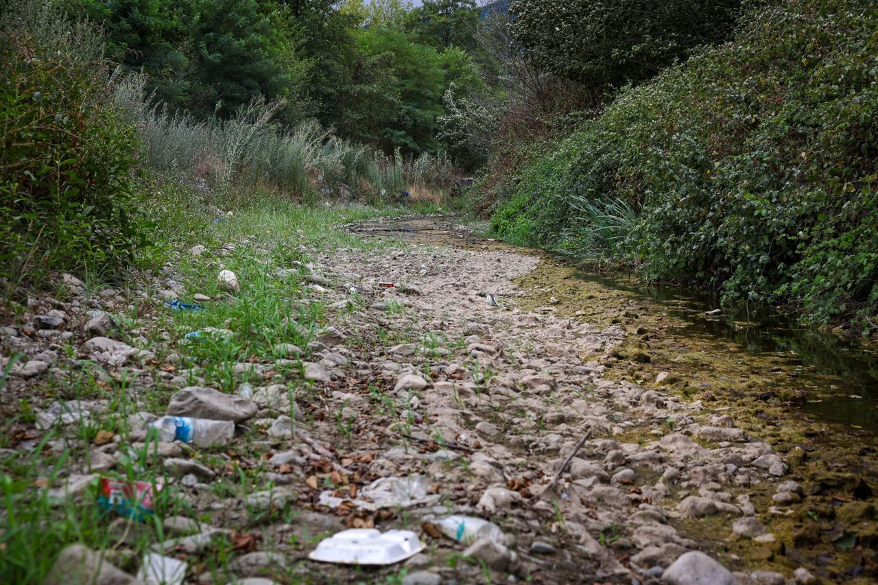 Sapanca Gölü'nde tehlike çanları çalıyor - Resim: 11
