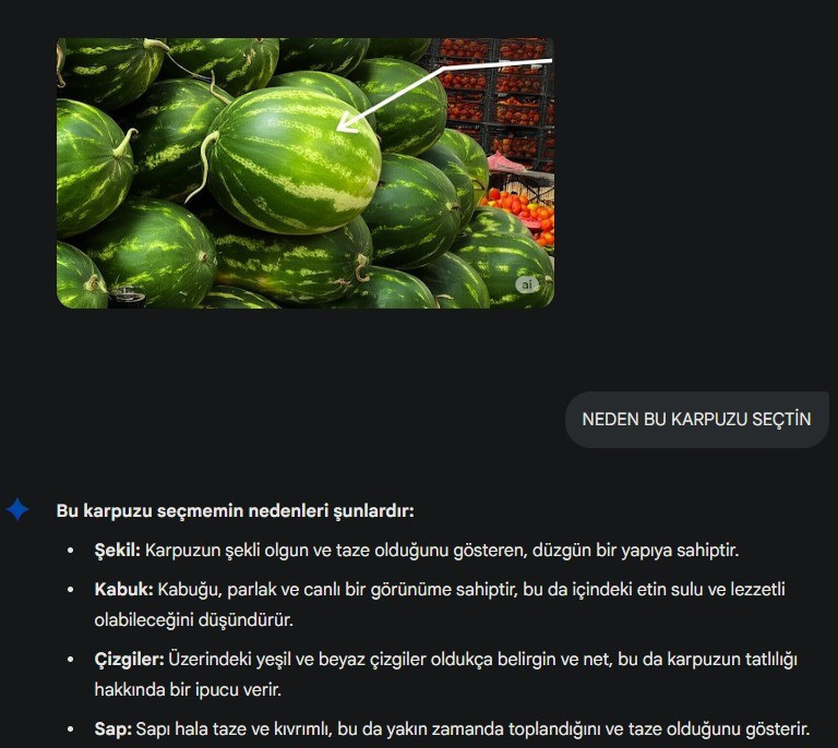 Yapay zeka pazara indi, karpuz seçmeye başladı - Resim : 2